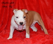 Angelina Jolie Gloria Way девочка. 