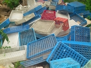 Покупаем дробленный ПНД-литьевой. Лом ящика НД, ведра и т.д