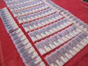 Продаж бджоломаток карпатки з відправкою по Україні